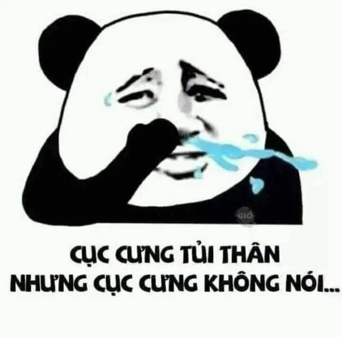 Gấu trúc meme với các tình huống hài hước
