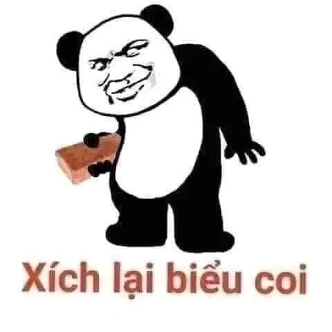 Gấu trúc meme gây cười cho người xem