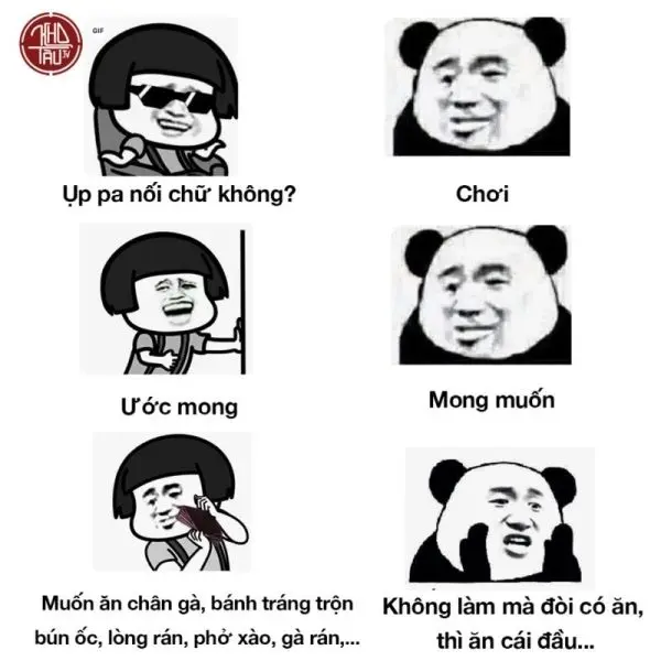 Gấu trúc meme được yêu thích trên mạng