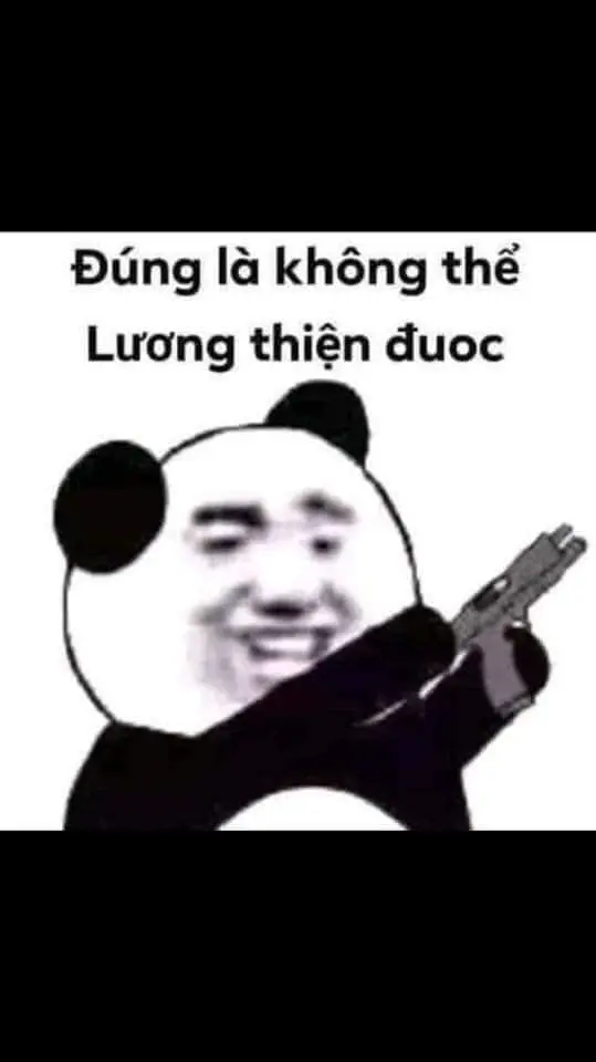 Gấu trúc meme phổ biến trong giới trẻ