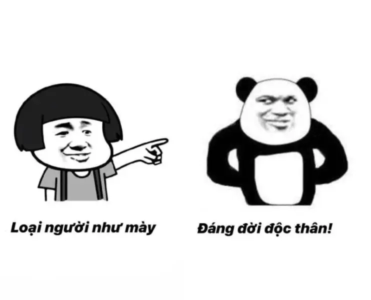 Gấu trúc meme thú vị với biểu cảm đa dạng