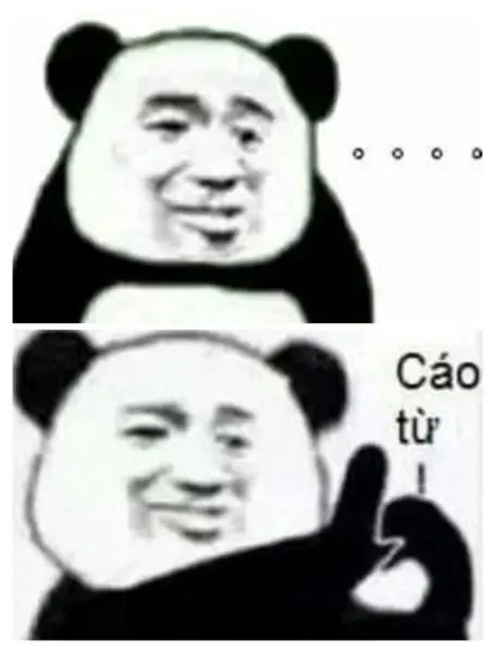 Gấu trúc meme với các biểu cảm sinh động