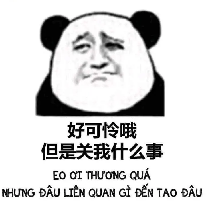 Meme gấu trúc độc đáo và hài hước