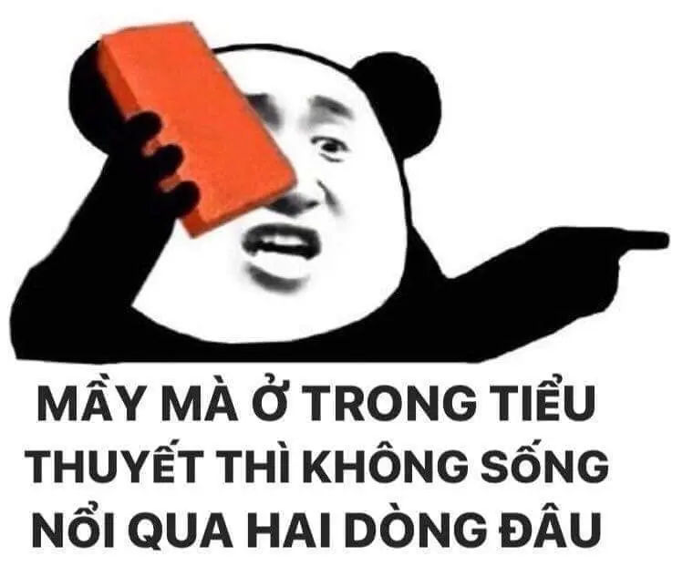 Gấu trúc meme khiến người xem bật cười