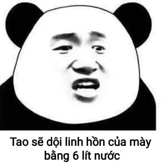 Gấu trúc meme vui nhộn và hài hước