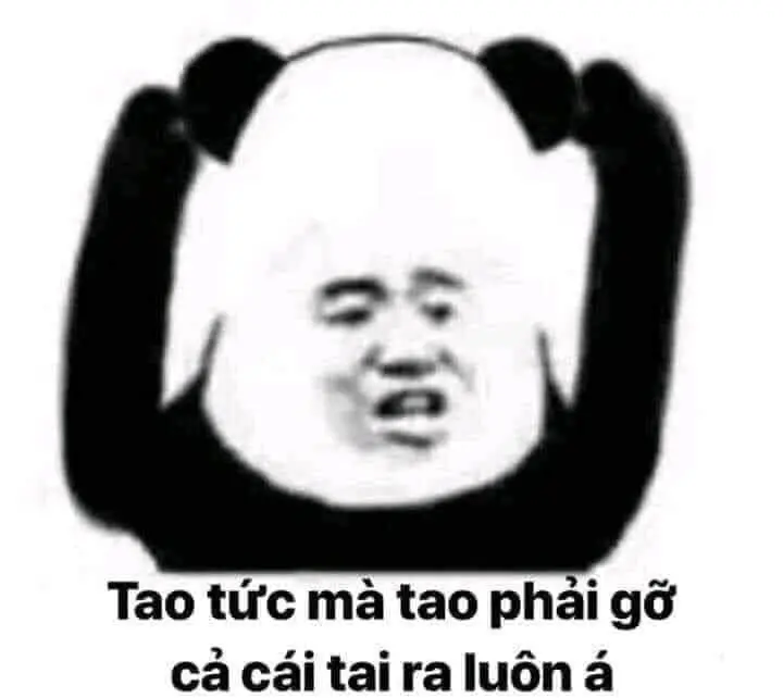 Gấu trúc meme nổi bật với biểu cảm hài hước