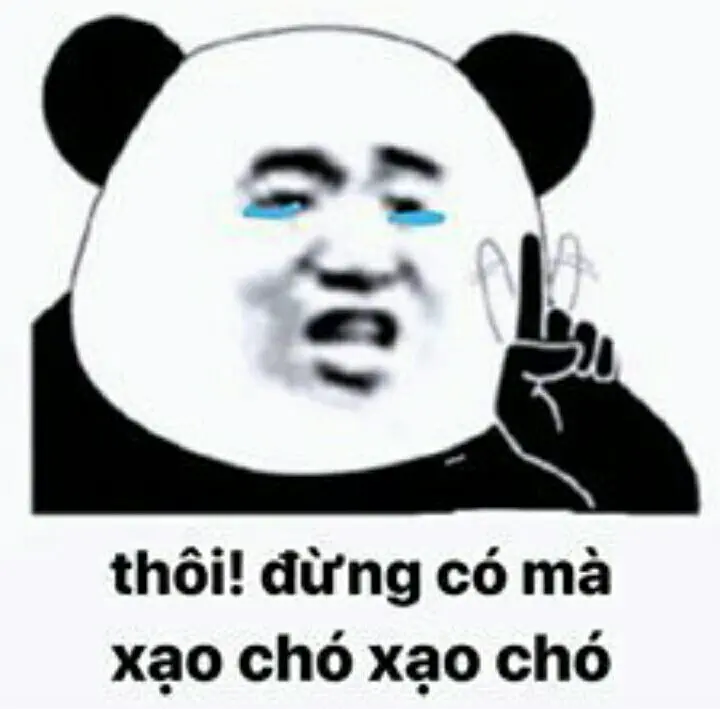 Meme gấu trúc đáng yêu và thu hút