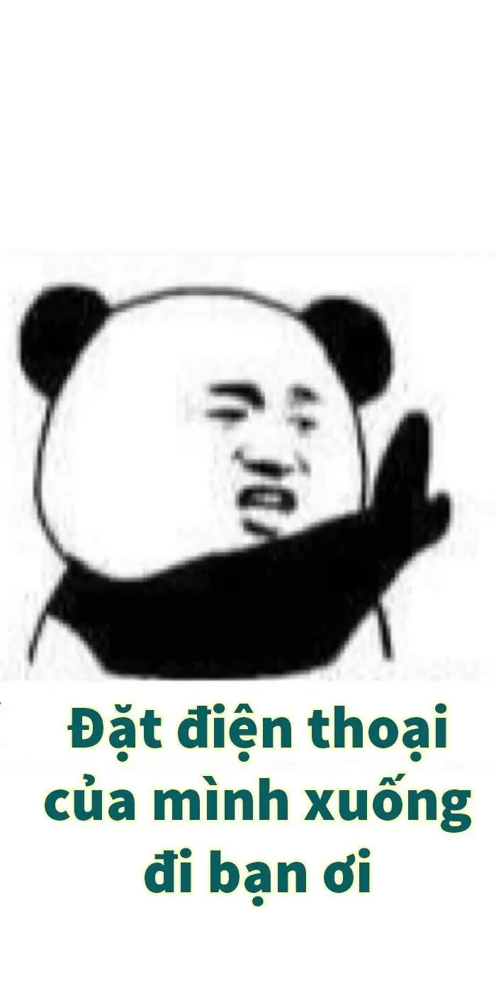 Gấu trúc meme thú vị với nhiều biểu cảm