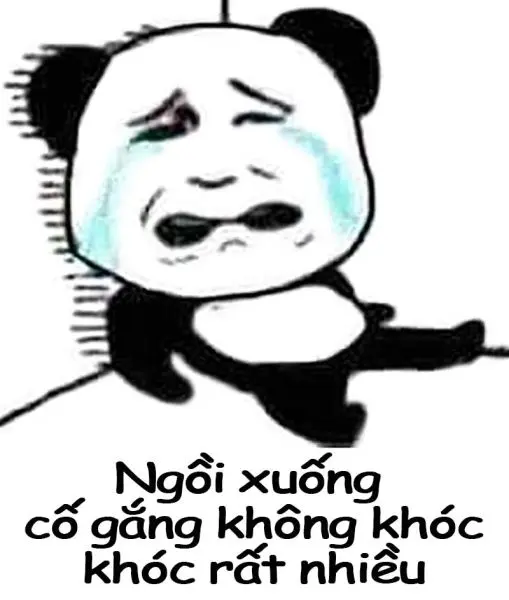 Meme gấu trúc dễ thương và hài hước