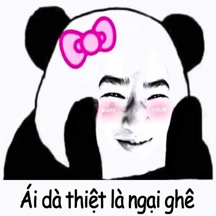 Gấu trúc meme với các biểu cảm đáng yêu