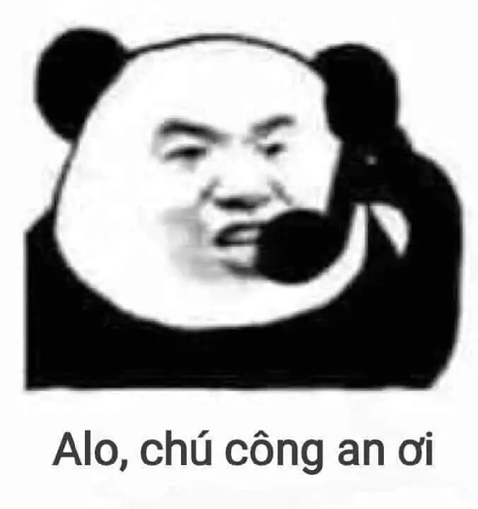 Gấu trúc meme với biểu cảm hài hước