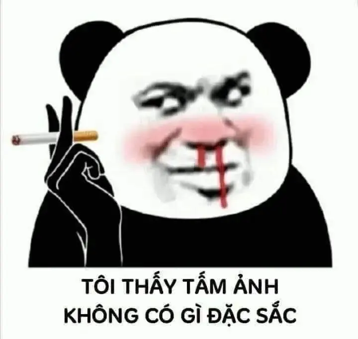 Meme gấu trúc lan truyền mạnh mẽ