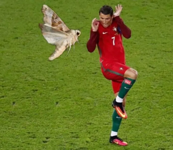 Meme Ronaldo bị dọa hài hước