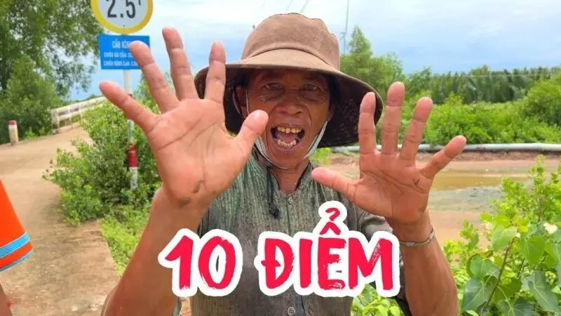 Biểu cảm ngộ nghĩnh trong 10 điểm meme Biểu cảm ngộ nghĩnh trong 10 điểm meme