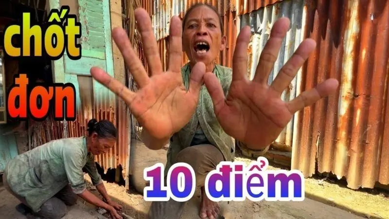 10 điểm meme được nhiều người chia sẻ 10 điểm meme được nhiều người chia sẻ