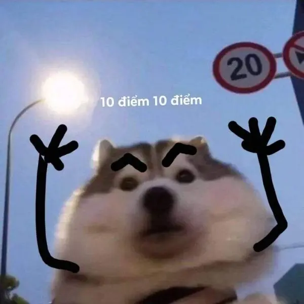 10 điểm meme làm nổi bật tính hài hước 10 điểm meme làm nổi bật tính hài hước