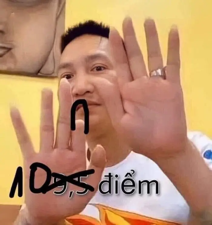 10 điểm meme được yêu thích rộng rãi 10 điểm meme được yêu thích rộng rãi