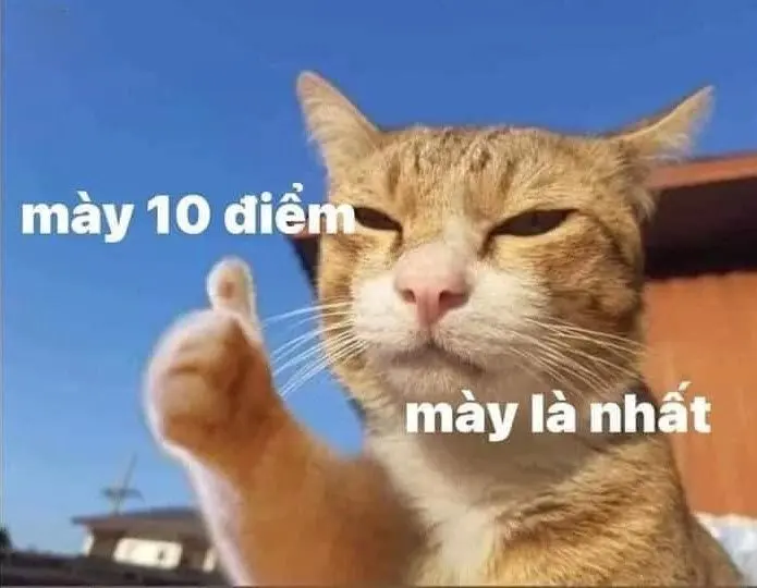 10 điểm meme mang đến cảm giác vui vẻ 10 điểm meme mang đến cảm giác vui vẻ