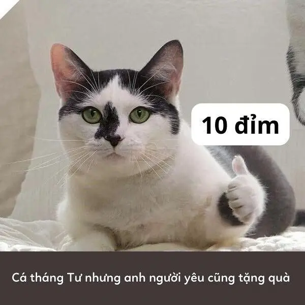 10 điểm meme thú vị với nhiều biểu cảm 10 điểm meme thú vị với nhiều biểu cảm