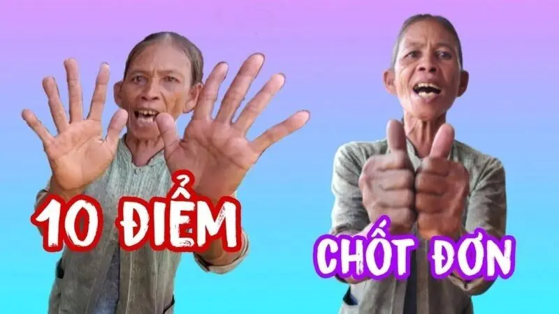 10 điểm meme tạo niềm vui sảng khoái 10 điểm meme tạo niềm vui sảng khoái