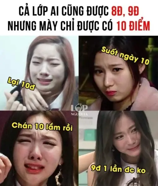 10 điểm meme với các biểu cảm vui vẻ 10 điểm meme với các biểu cảm vui vẻ