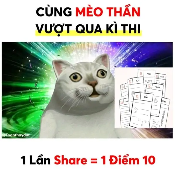 10 điểm meme mang lại niềm vui cho mọi người 10 điểm meme mang lại niềm vui cho mọi người