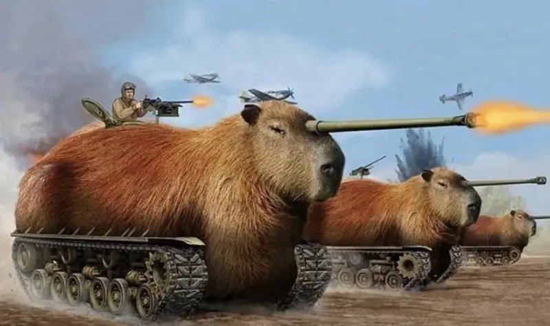 Meme Capybara khiến người xem bật cười