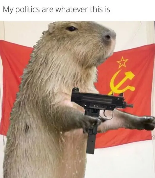 Meme Capybara với ánh mắt vui nhộn