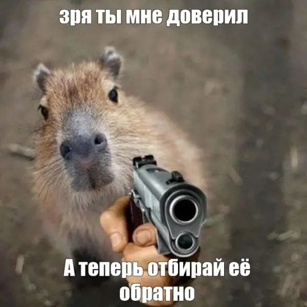 Meme Capybara khiến mọi người bật cười