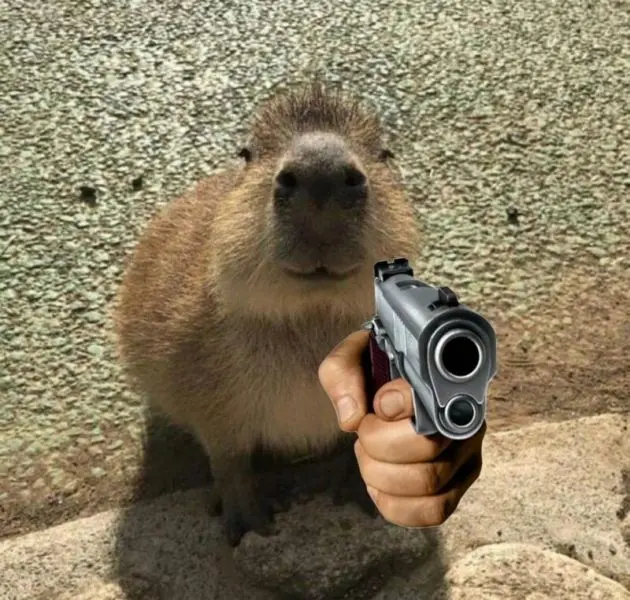 Meme Capybara trong khoảnh khắc vui nhộn
