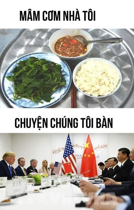 Meme nhân văn khiến người xem suy ngẫm