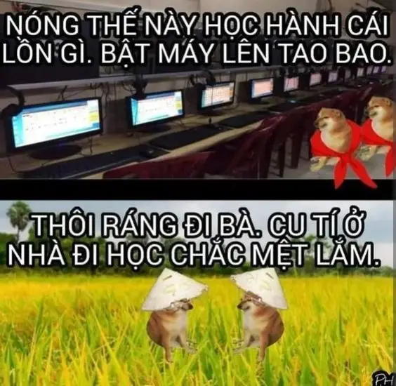 Meme nhân văn chứa đựng thông điệp chân thành