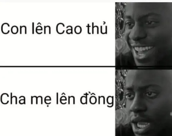 Meme nhân văn với thông điệp nhẹ nhàng