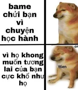 Meme nhân văn tạo động lực cho người xem