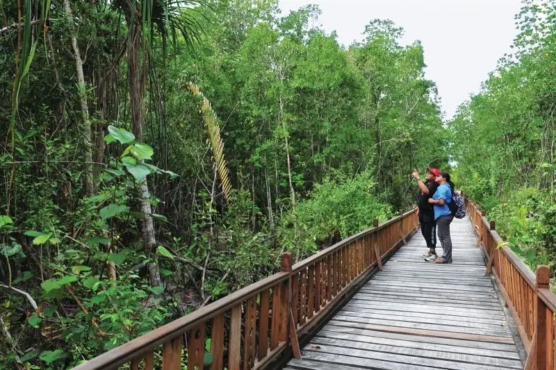 Thưởng thức không gian thiên nhiên yên bình tại khu du lịch sinh thái. Thưởng thức không gian thiên nhiên yên bình tại khu du lịch sinh thái.