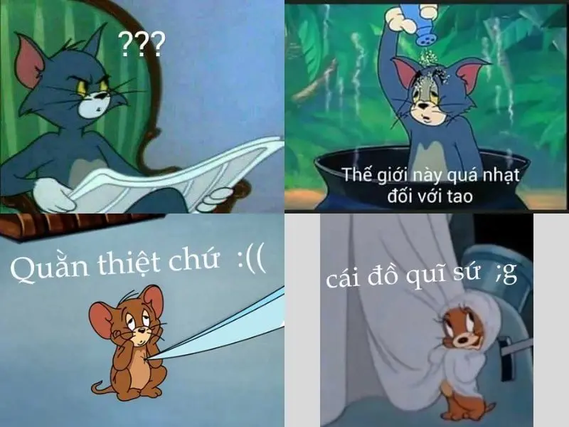 Meme face tom và jerry vui nhộn nhất