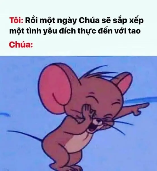Meme face tom và jerry mang lại tiếng cười
