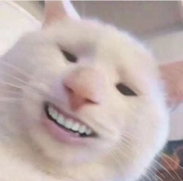 Meme face hài hước khiến bạn cười ngất