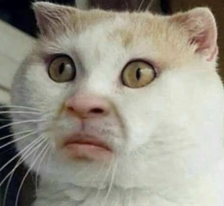 Meme face hài hước cho mọi tình huống