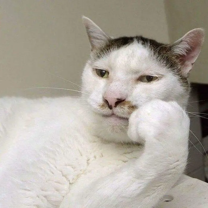 Meme face hài hước khiến ai cũng bật cười