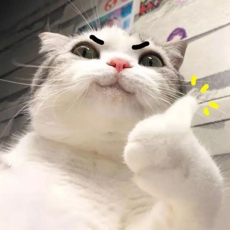 Meme face hài hước vui vẻ