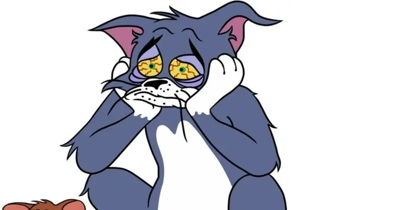 Meme face tom và jerry dành cho bạn bè