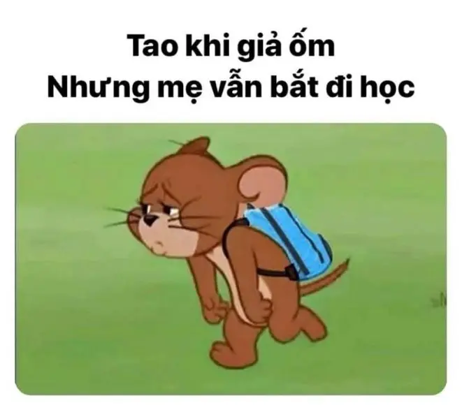 Meme face tom và jerry làm bạn vui vẻ