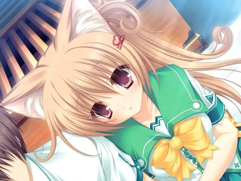 Bộ hình nền anime nữ xinh đẹp cho laptop