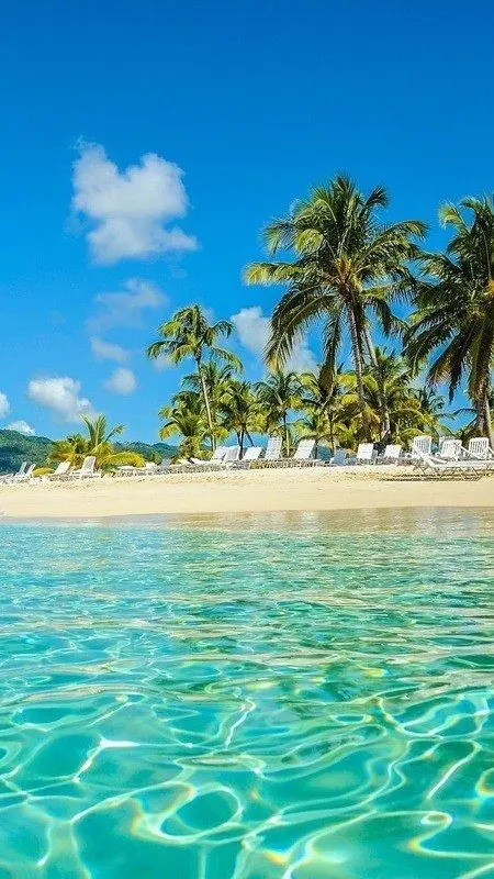 Thoải mái ngắm thiên nhiên mọi lúc với hình nền đẹp cho điện thoại