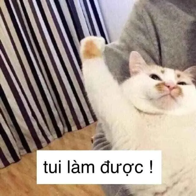Meme cố lên với thông điệp ý nghĩa