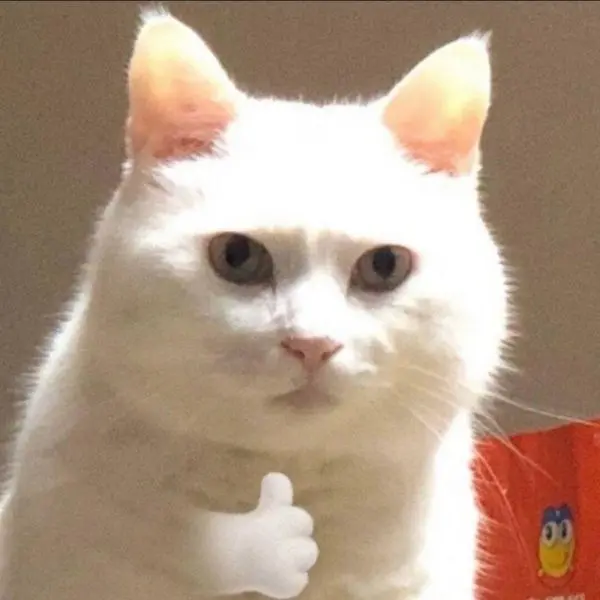 Meme cố lên lan truyền ý chí bền bỉ