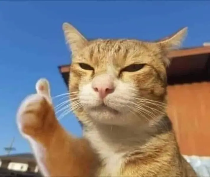 Meme cố lên với tinh thần không từ bỏ