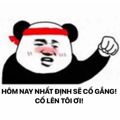 Meme cố lên với biểu cảm quyết tâm