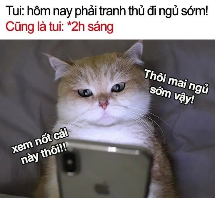 Meme đi ngủ chế hoạt hình được yêu thích